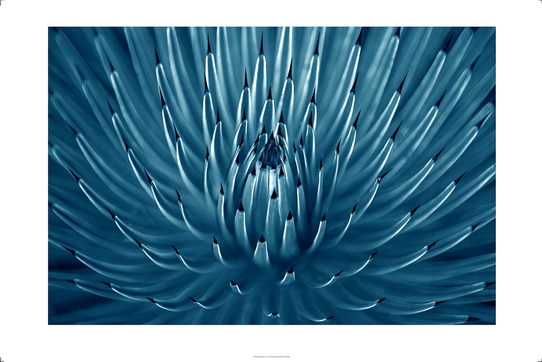 Azul 5 - Limited series of 15 Artist signed.