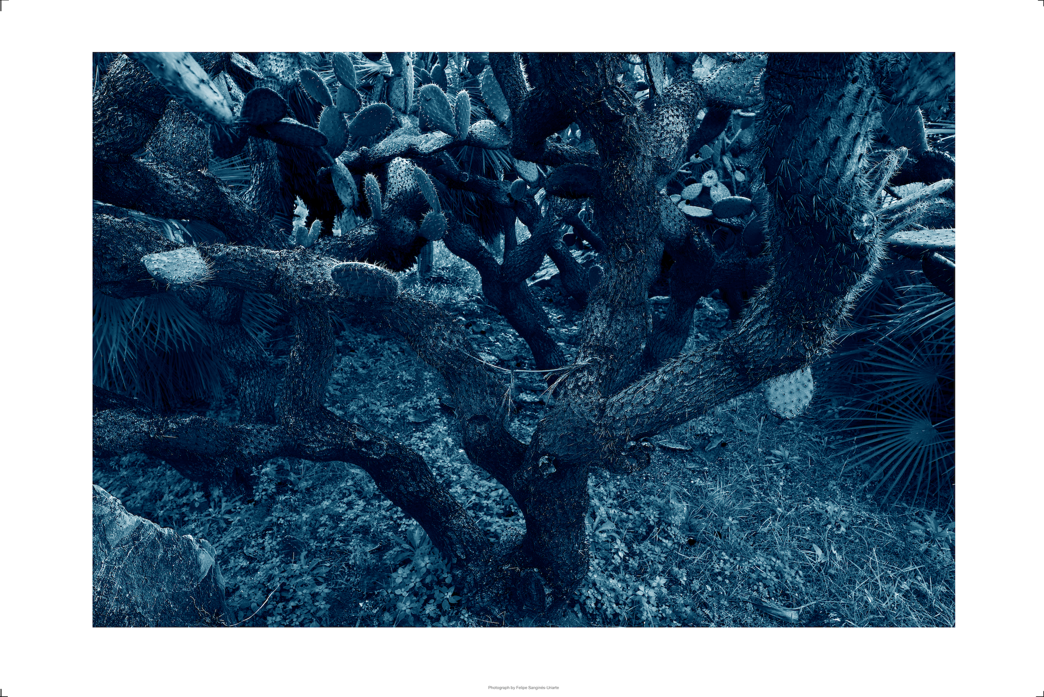 Azul 6 - Limited series of 15 Artist signed.