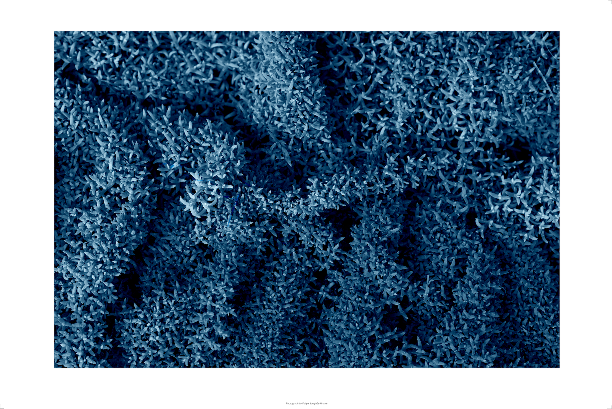 Azul 7 - Limited series of 15 Artist signed.