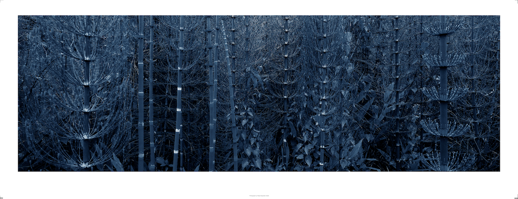 Azul 8 - Limited series of 15 Artist signed.