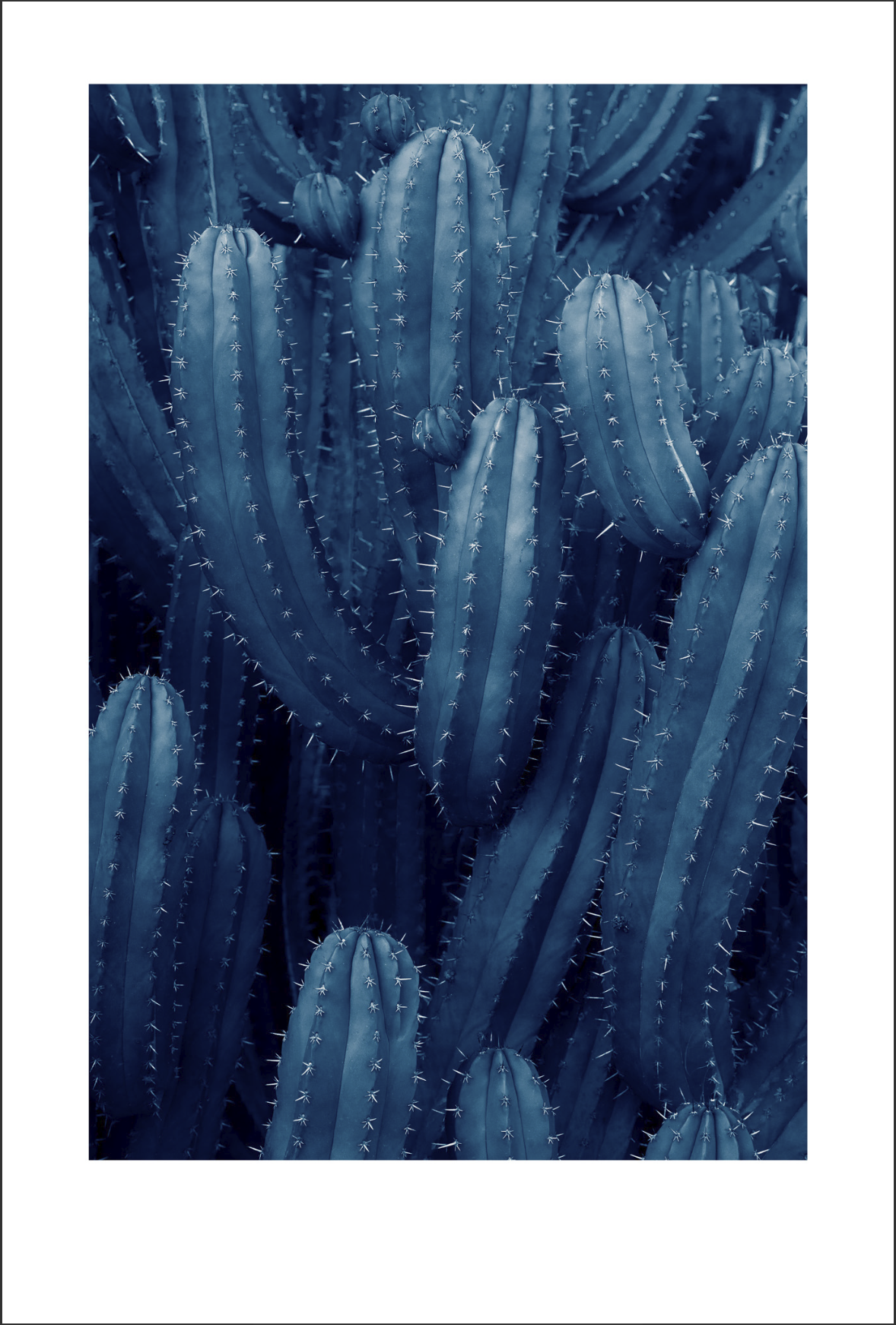 Azul 9 - Limited series of 15 Artist signed.