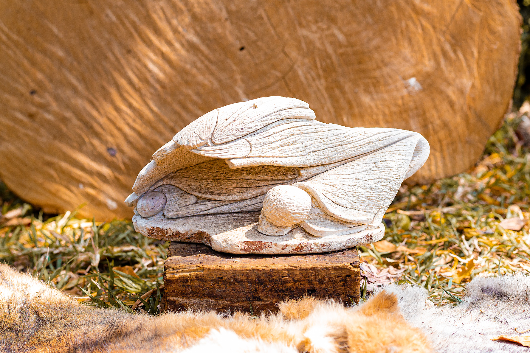 Family Cave - Samon Kuvhenguhwa