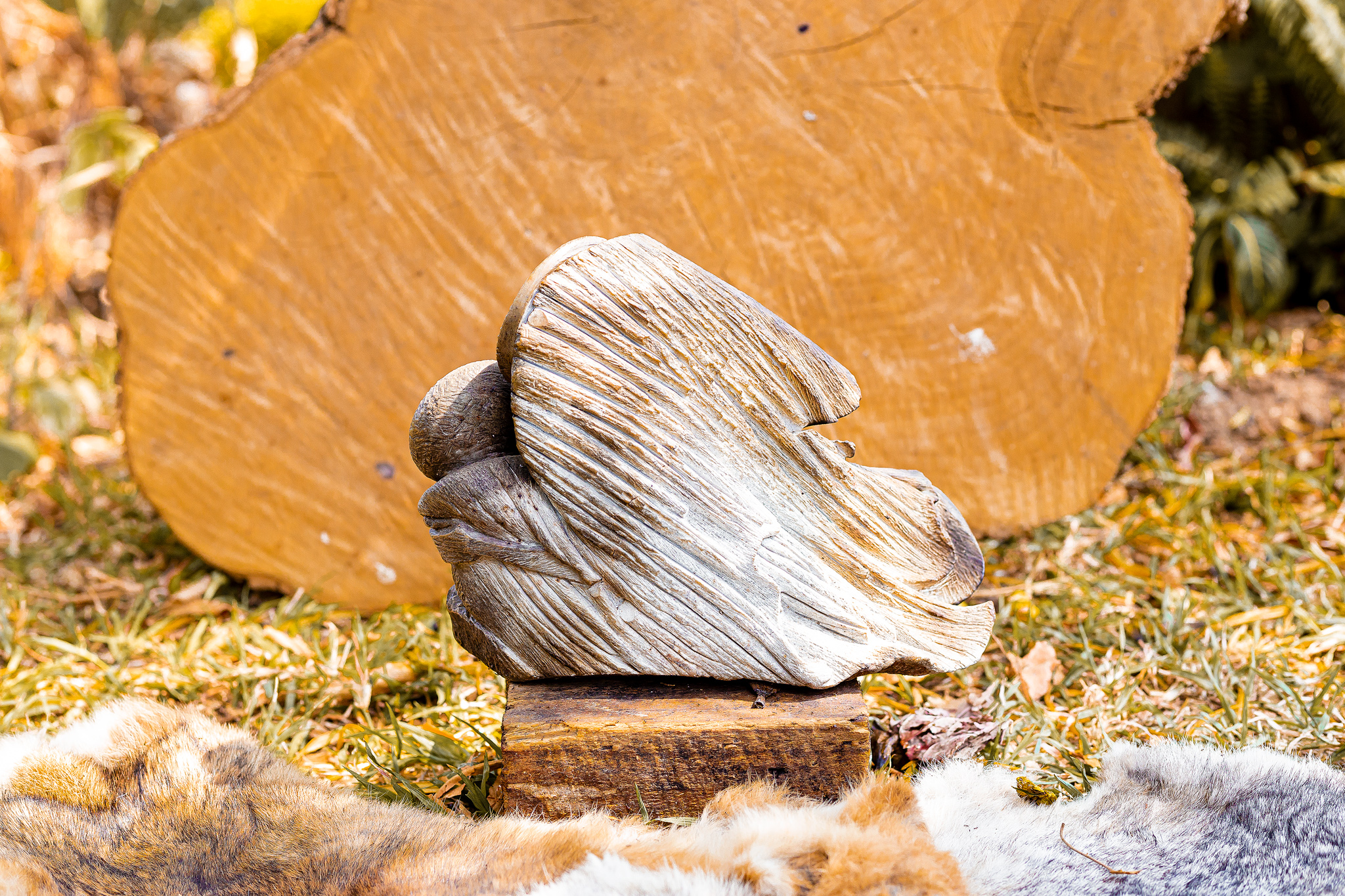 In total comfort - Samon Kuvhenguhwa