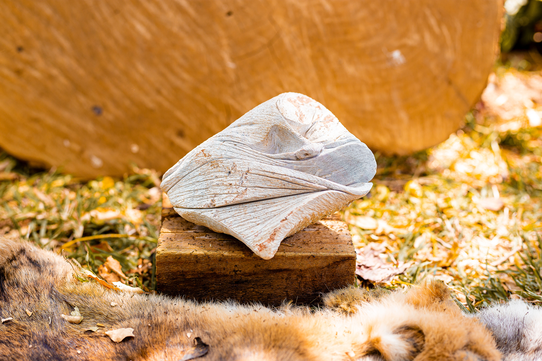 Mountain callings - Samon Kuvhenguhwa