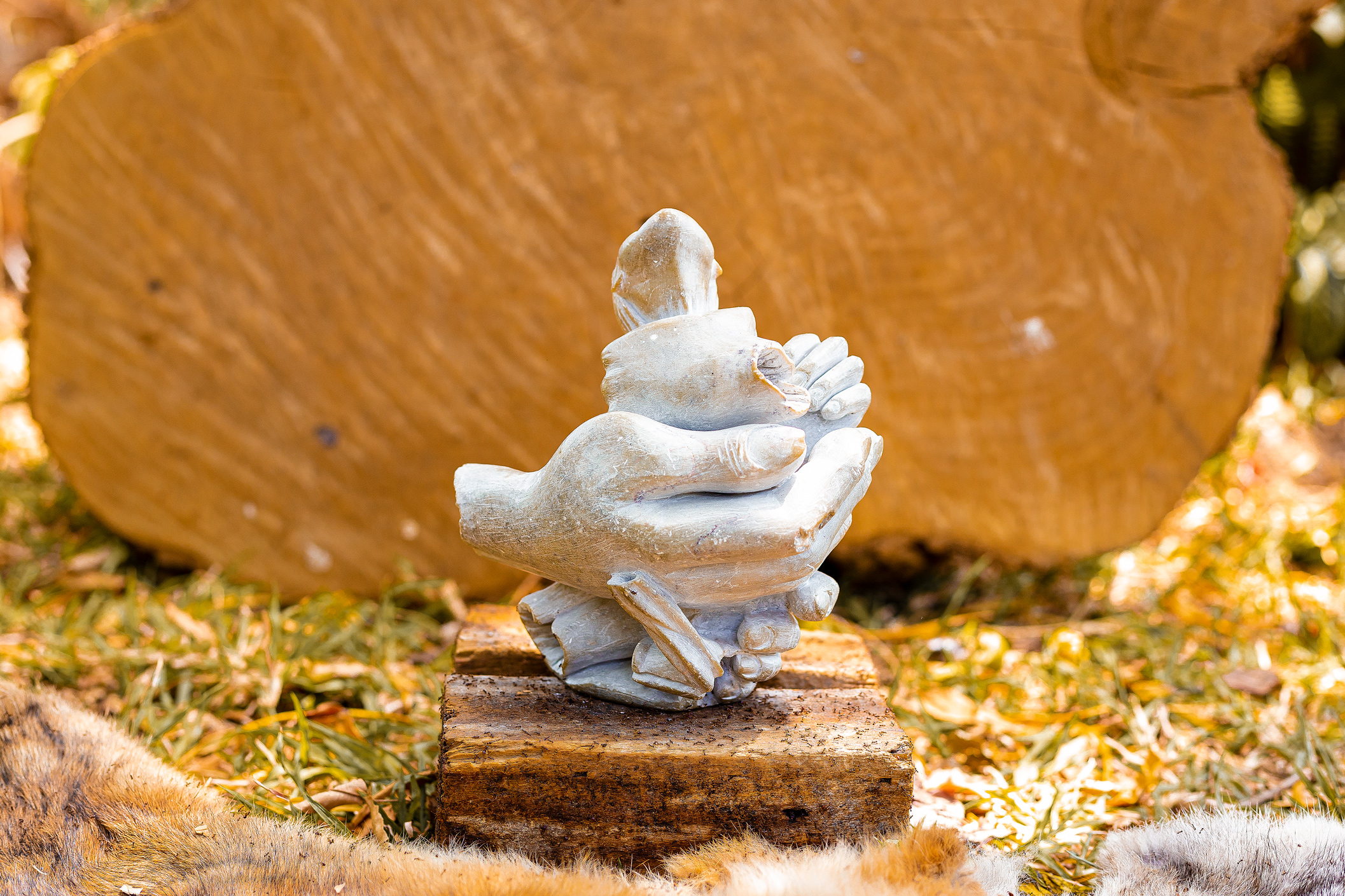 Trapped voice and silent tears - Aaron Kuvhenguhwa